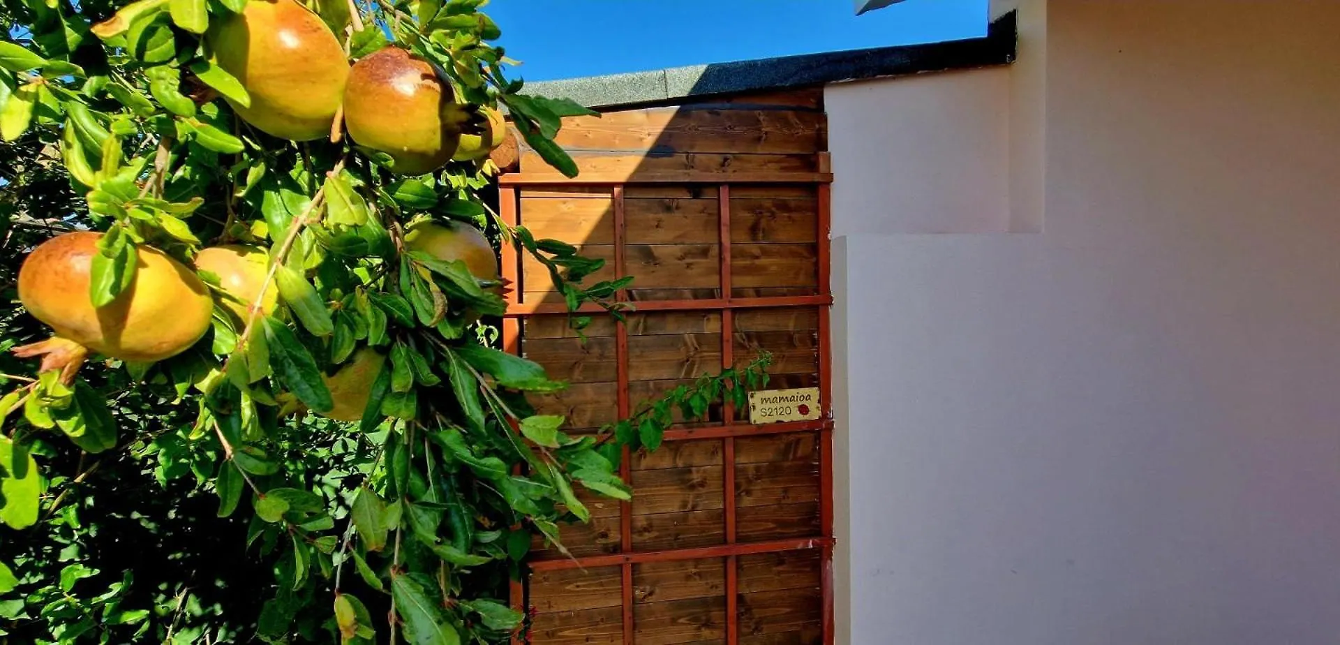 Casa Vacanza Mamaioa SantʼAnna Arresi 0*,